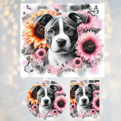 Watercolour Staffy - Pink and Black Sunflowers Set - Includes Digital 20oz Sublimation Tumbler Wrap, Car Coaster and Air Freshener Designs