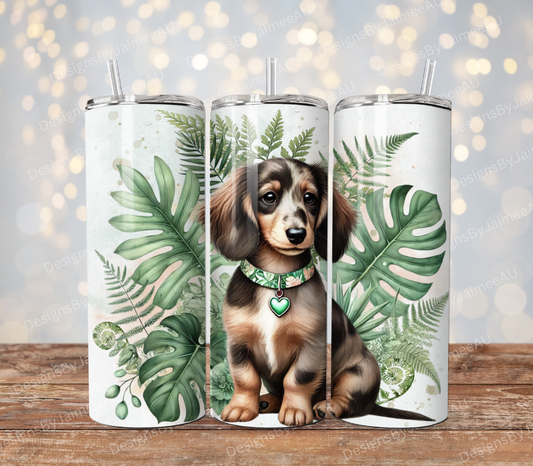 Long Haired Choc Dapple Dachshund- Sage Green Tropical -  Digital Download 20oz Sublimation Tumbler Wrap