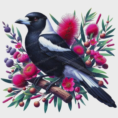 5 Magpie And Australian Native Flowers Digital Transparent Clipart Images